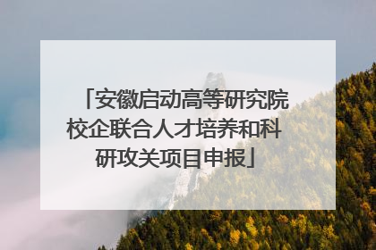 安徽启动高等研究院校企联合人才培养和科研攻关项目申报